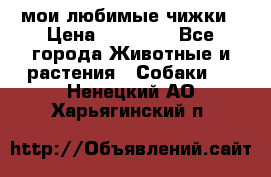 мои любимые чижки › Цена ­ 15 000 - Все города Животные и растения » Собаки   . Ненецкий АО,Харьягинский п.